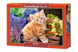 Palapeli Castorland Ginger Kitten, 500 palaa hinta ja tiedot | Palapelit | hobbyhall.fi