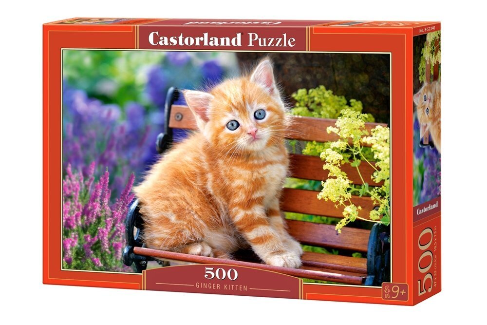 Palapeli Castorland Ginger Kitten, 500 palaa hinta ja tiedot | Palapelit | hobbyhall.fi