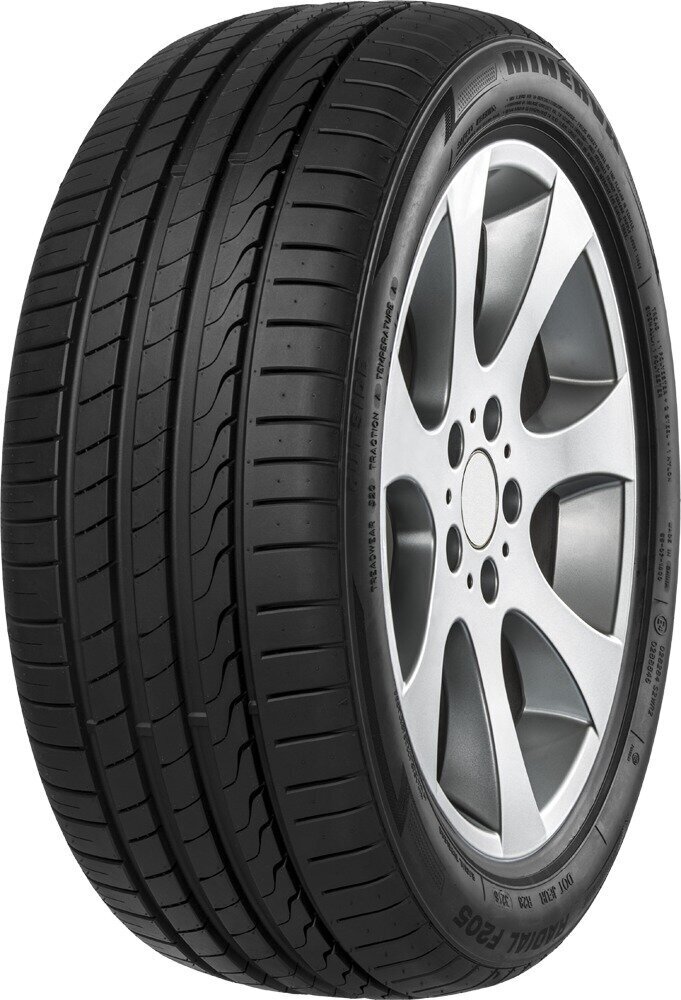 Minerva F205 245/45R17 99 W XL hinta ja tiedot | Kesärenkaat | hobbyhall.fi