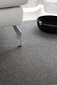 Narma Eden -flexiVelour™ veluurimatto, harmaa, 200 x 300 cm hinta ja tiedot | Isot matot | hobbyhall.fi