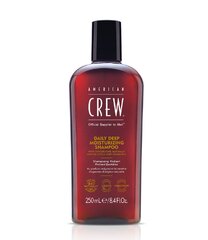 American Crew Daily Deep Kosteuttava Shampoo, 250 ml hinta ja tiedot | American Crew Hiustenhoitotuotteet | hobbyhall.fi