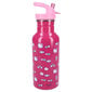 Lasten metallijuoma Hello Kitty Take A Sip hinta ja tiedot | Juomapullot | hobbyhall.fi