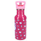 Lasten metallijuoma Hello Kitty Take A Sip hinta ja tiedot | Juomapullot | hobbyhall.fi