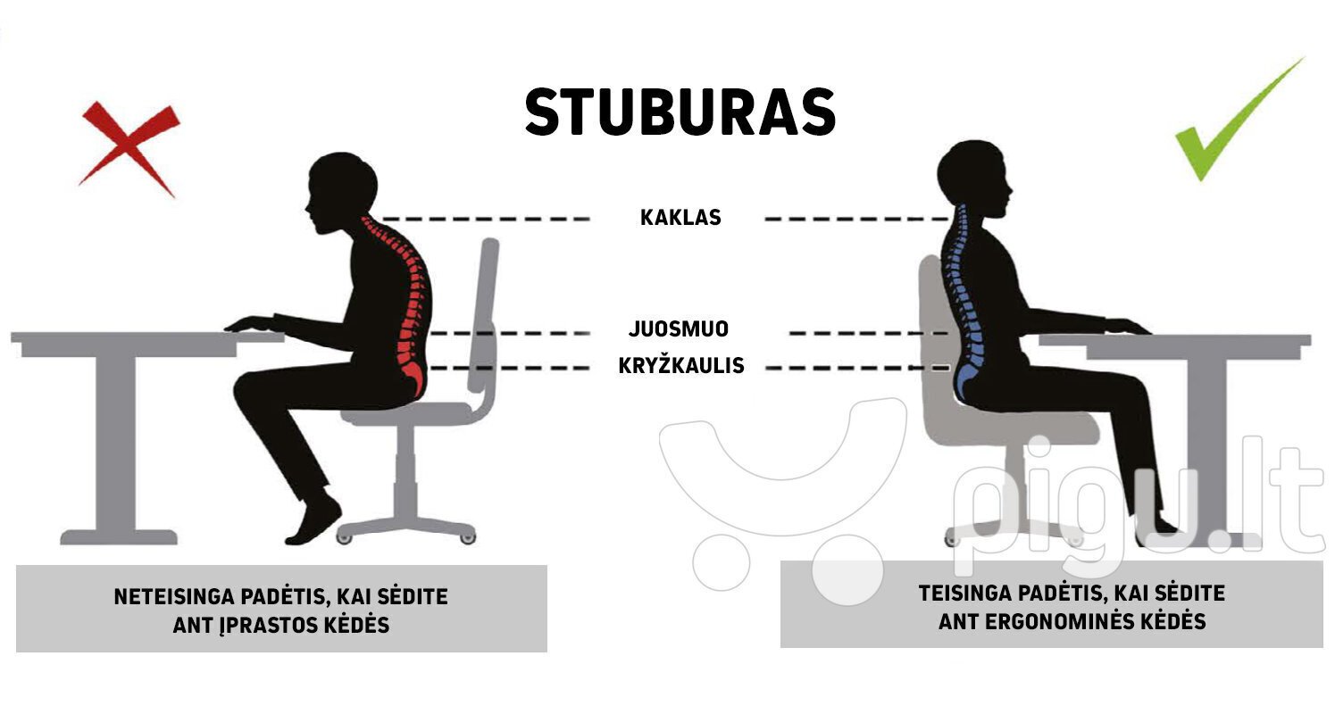 Toimistotuoli Entelo Good Chair Duo VS06 5, valkoinen/sininen hinta ja tiedot | Toimistotuolit | hobbyhall.fi