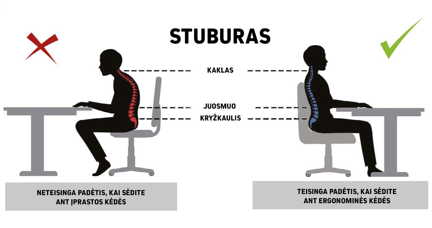 Ergonominen työtuoli Petit AA4, punainen / valkoinen hinta ja tiedot | Toimistotuolit | hobbyhall.fi