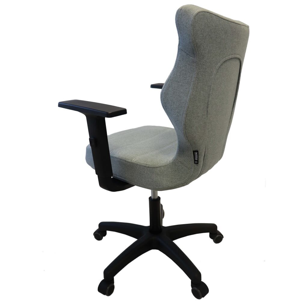 Entelo Good Chair Ergonominen työtuoli UNI, kolikko BAC6BCDC20B hinta ja tiedot | Toimistotuolit | hobbyhall.fi