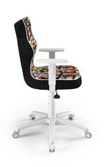 Ergonominen lastentuoli Entelo Good Chair Duo ST28, värillinen hinta ja tiedot | Toimistotuolit | hobbyhall.fi