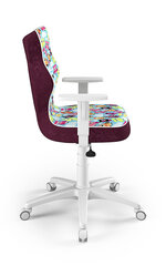 Ergonominen lastentuoli Entelo Good Chair Duo ST32, värillinen hinta ja tiedot | Toimistotuolit | hobbyhall.fi