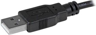 StarTech MSTDP122DP Sovitin hinta ja tiedot | Adapterit | hobbyhall.fi