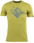 Miesten paita Under Armour Tech SS Tee 2., 1326413-100 hinta ja tiedot | Miesten T-paidat | hobbyhall.fi