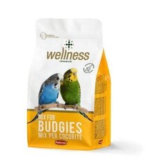 PD Wellness -undulaatinruoka, 1 kg hinta ja tiedot | Lintujen ruokinta | hobbyhall.fi