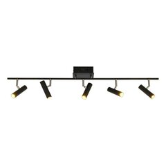 Aneta Lighting kattovalaisin ARTIC hinta ja tiedot | Kattovalaisimet | hobbyhall.fi