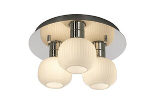 Aneta Lighting seinävalaisin MESSINA hinta ja tiedot | Kattovalaisimet | hobbyhall.fi