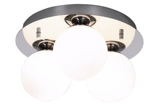 Aneta Lighting kattovalaisin NICOSIA hinta ja tiedot | Kattovalaisimet | hobbyhall.fi