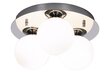 Aneta Lighting kattovalaisin NICOSIA hinta ja tiedot | Kattovalaisimet | hobbyhall.fi