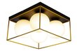 Aneta Lighting kattovalaisin ASRO hinta ja tiedot | Kattovalaisimet | hobbyhall.fi