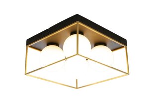 Aneta Lighting kattovalaisin ASTRO hinta ja tiedot | Kattovalaisimet | hobbyhall.fi