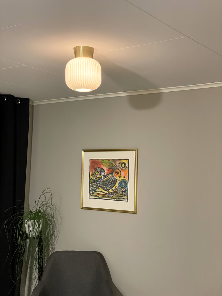 Aneta Lighting kattovalaisin VANJA hinta ja tiedot | Kattovalaisimet | hobbyhall.fi