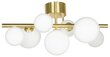 Aneta Lighting kattovalaisin MOLEKYL hinta ja tiedot | Kattovalaisimet | hobbyhall.fi