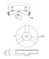 Aneta Lighting kattovalaisin Gusto hinta ja tiedot | Kattovalaisimet | hobbyhall.fi