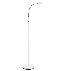 Aneta Lighting lattiavalaisin JUNO hinta ja tiedot | Lattiavalaisimet | hobbyhall.fi