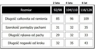 Lasten pyjama haalari koirilla, 6 vuotta, 116/128 hinta ja tiedot | Poikien kylpytakit ja pyjamat | hobbyhall.fi