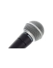 Shure Vocal Lava-/esitysmikrofoni SM58-LCE hinta ja tiedot | Mikrofonit | hobbyhall.fi