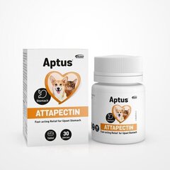 Aptus ravintolisä koirille ja kissoille Attapectin 30 tablettia. hinta ja tiedot | Aptus Lemmikit | hobbyhall.fi
