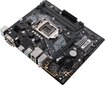 Asus 90MB0Z10-M0EAYC hinta ja tiedot | Emolevyt | hobbyhall.fi