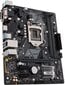 Asus 90MB0Z10-M0EAYC hinta ja tiedot | Emolevyt | hobbyhall.fi