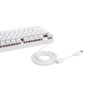 Motospeed CK82 TKL RGB hinta ja tiedot | Näppäimistöt | hobbyhall.fi