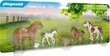 70682 Playmobil, ponit varsoilla hinta ja tiedot | LEGOT ja rakennuslelut | hobbyhall.fi