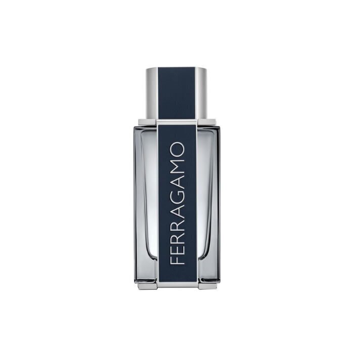 Salvatore Ferragamo Ferragamo EDT miehelle 30 ml, 100 ml hinta ja tiedot | Miesten hajuvedet | hobbyhall.fi