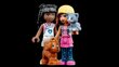 41699 LEGO® Friends Eläinten turvapaikka kahvila hinta ja tiedot | LEGOT ja rakennuslelut | hobbyhall.fi