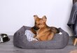 Koiran pesä Cozy Dog, 80x60x26 cm, hinta ja tiedot | Pedit ja pesät | hobbyhall.fi