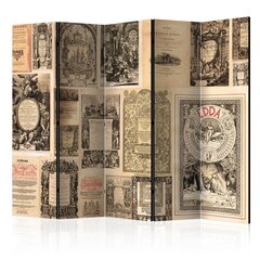 Sermi - Vintage Books II [Room Dividers] hinta ja tiedot | Sermit ja tilanjakajat | hobbyhall.fi