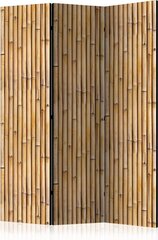 Sermi - Amazonian Wall [Room Dividers] hinta ja tiedot | Sermit ja tilanjakajat | hobbyhall.fi