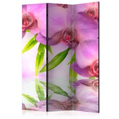 Sermi - Orchid Spa [Room Dividers] hinta ja tiedot | Sermit ja tilanjakajat | hobbyhall.fi