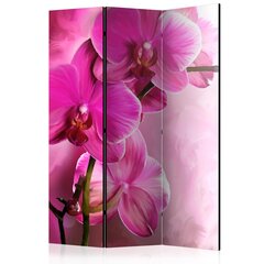 Sermi - Pink Orchid [Room Dividers] hinta ja tiedot | Sermit ja tilanjakajat | hobbyhall.fi