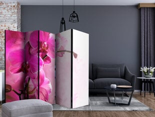 Sermi - Pink Orchid II [Room Dividers] hinta ja tiedot | Sermit ja tilanjakajat | hobbyhall.fi