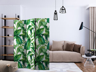 Sermi - Tropical Paradise [Room Dividers] hinta ja tiedot | Sermit ja tilanjakajat | hobbyhall.fi