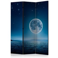 Sermi - Moonlit night [Room Dividers] hinta ja tiedot | Sermit ja tilanjakajat | hobbyhall.fi