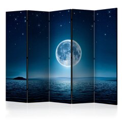 Sermi - Moonlit night II [Room Dividers] hinta ja tiedot | Sermit ja tilanjakajat | hobbyhall.fi