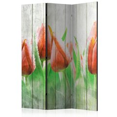 Sermi - Red tulips on wood [Room Dividers] hinta ja tiedot | Sermit ja tilanjakajat | hobbyhall.fi