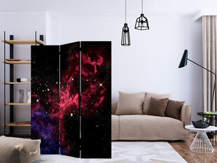 Sermi - space - stars [Room Dividers] hinta ja tiedot | Sermit ja tilanjakajat | hobbyhall.fi