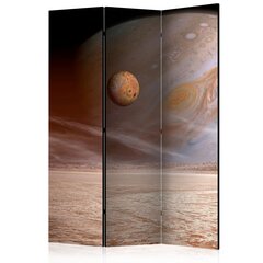 Sermi - A small and a big planet [Room Dividers] hinta ja tiedot | Sermit ja tilanjakajat | hobbyhall.fi