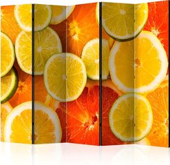 Sermi - Citrus fruits II [Room Dividers] hinta ja tiedot | Sermit ja tilanjakajat | hobbyhall.fi
