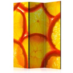 Sermi - Orange slices [Room Dividers] hinta ja tiedot | Sermit ja tilanjakajat | hobbyhall.fi