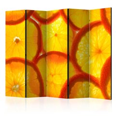 Sermi - Orange slices II [Room Dividers] hinta ja tiedot | Sermit ja tilanjakajat | hobbyhall.fi