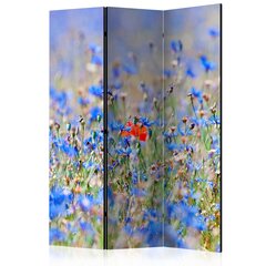Sermi - A sky-colored meadow - cornflowers [Room Dividers] hinta ja tiedot | Sermit ja tilanjakajat | hobbyhall.fi